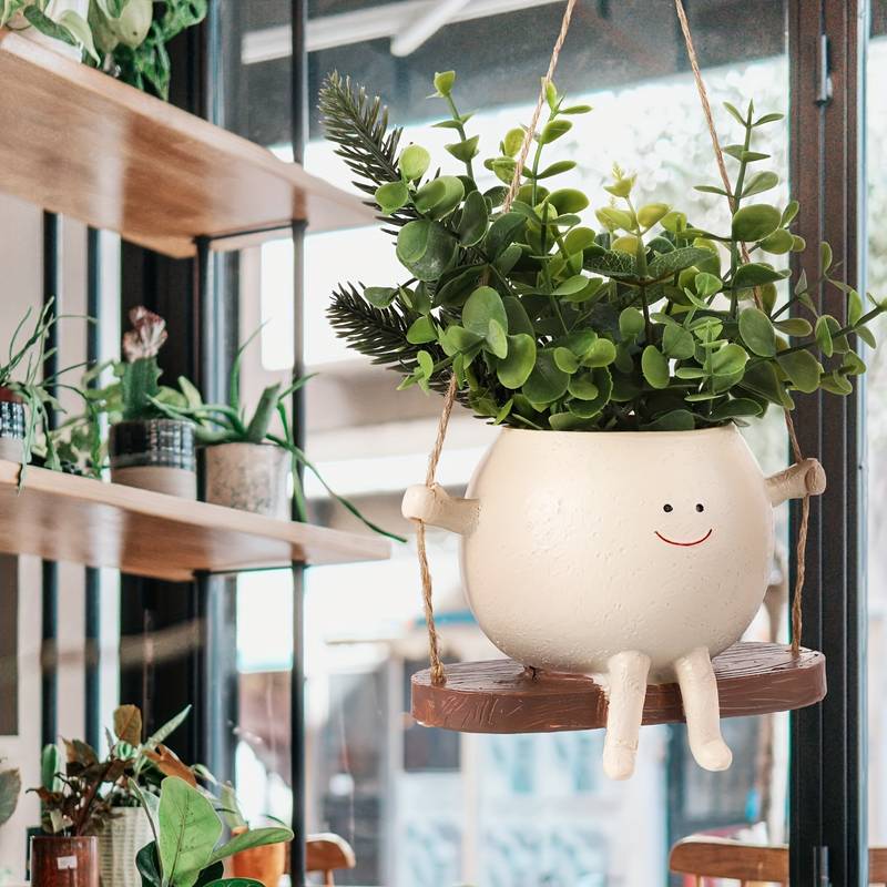 SwingingSmiles Pots | Lustige und funktionelle Dekoration