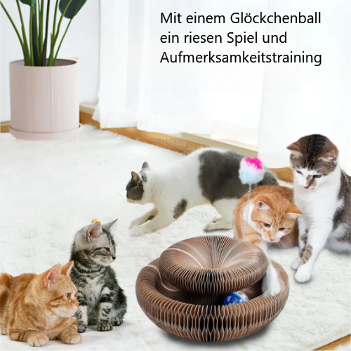 KittyJoy | Spielspaß Katzen-Spielplatz