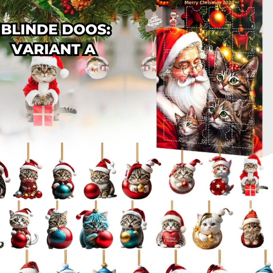 PurrCalendar | Adventskalender für Katzenliebhaber3